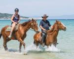 /site/images/uploads/aa_photo_gallery/horsing.jpg - Horse Riding in Halkidiki